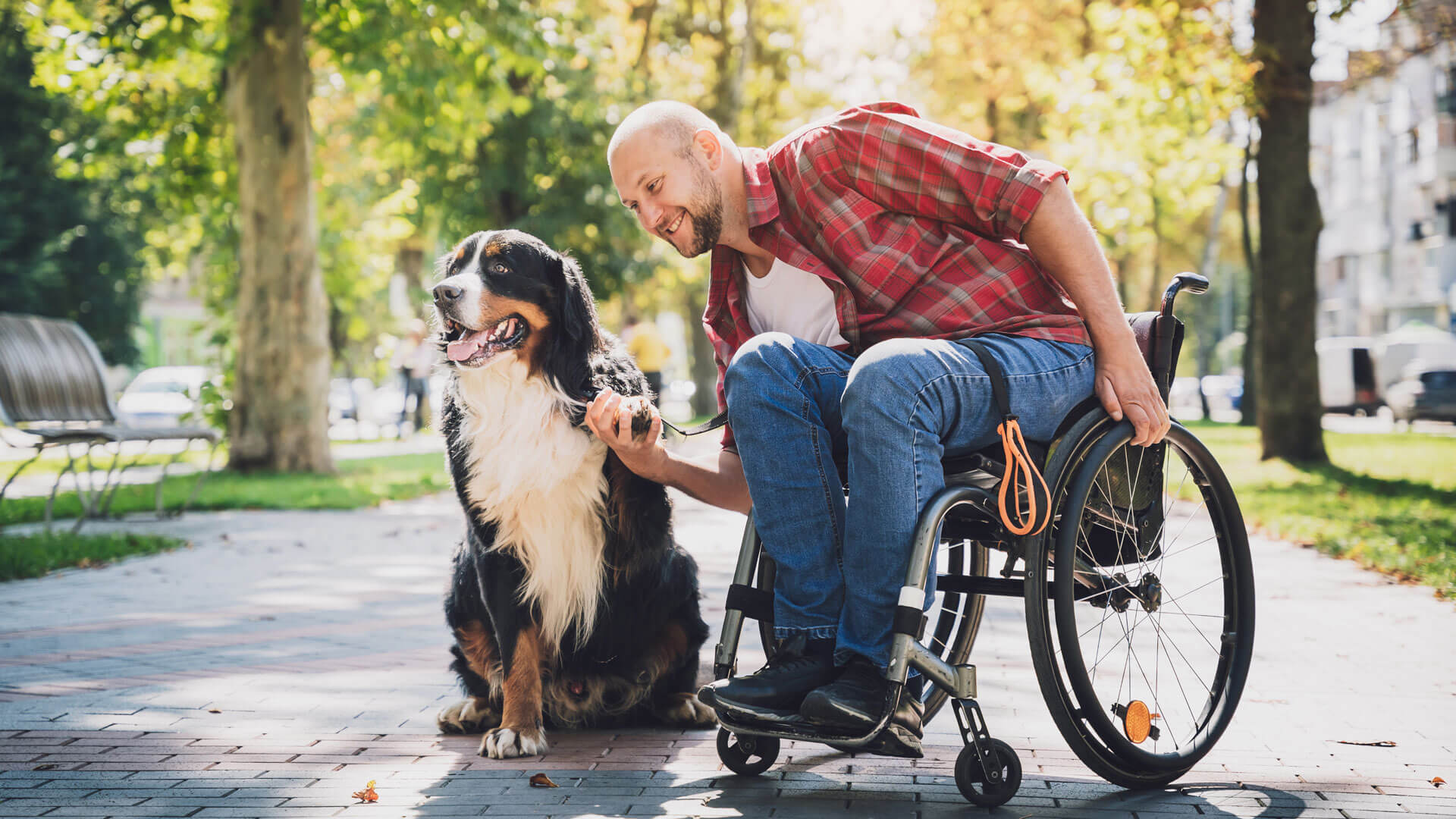 Junger Mann im Rollstuhl mit Hund